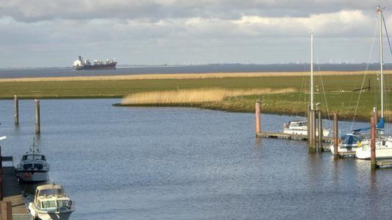 Seglerhafen Seglerhafen